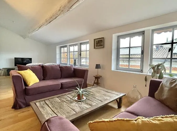 Le Loft Verdun Exposition Sud Emplacement 80M2