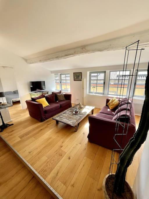 Le Loft Verdun Exposition Sud Emplacement 80m2 Carcasona