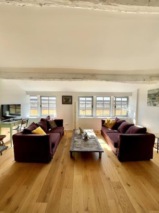 Le Loft Verdun Exposition Sud Emplacement 80m2